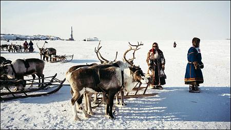 « Sibérie : la ruée vers l’or gris », un reportage photographique de Julien Goldstein dans le magazine GEO.