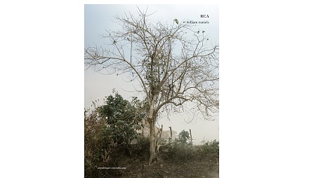 William Daniels a publié un nouvel ouvrage intitulé <em>RCA</em> (République centrafricaine) 