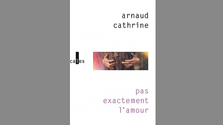 Le recueil de nouvelles <em>Pas exactement l’amour</em> d’Arnaud Cathrine sort aux éditions Verticales