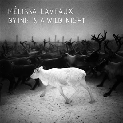 Sortie du nouvel album de Melissa Laveaux  <em>Dying is a wild night</em>