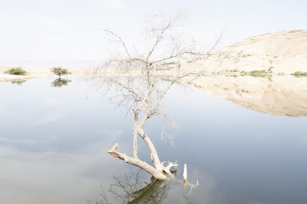 « Desappearence », le travail photographique de Mouna Saboni, exposé lors du festival Photo Marseille 2023.