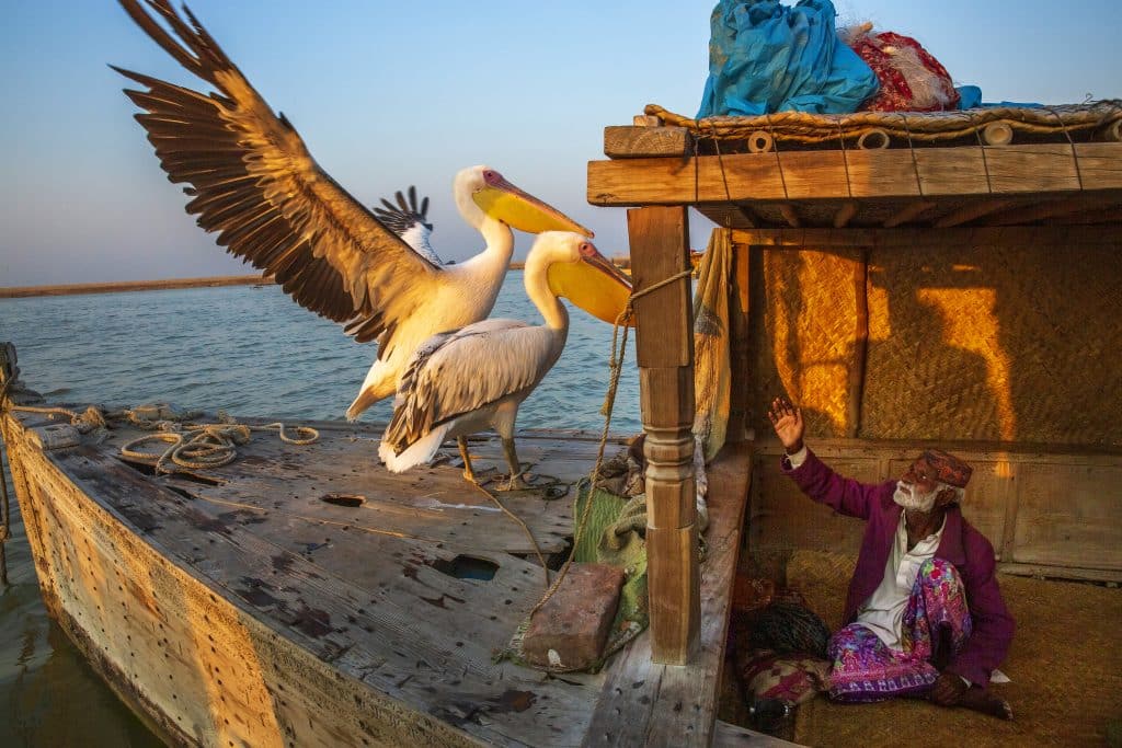 <em>Pakistan</em>, le livre de Sarah Caron parait aux éditions Lammerhuber.