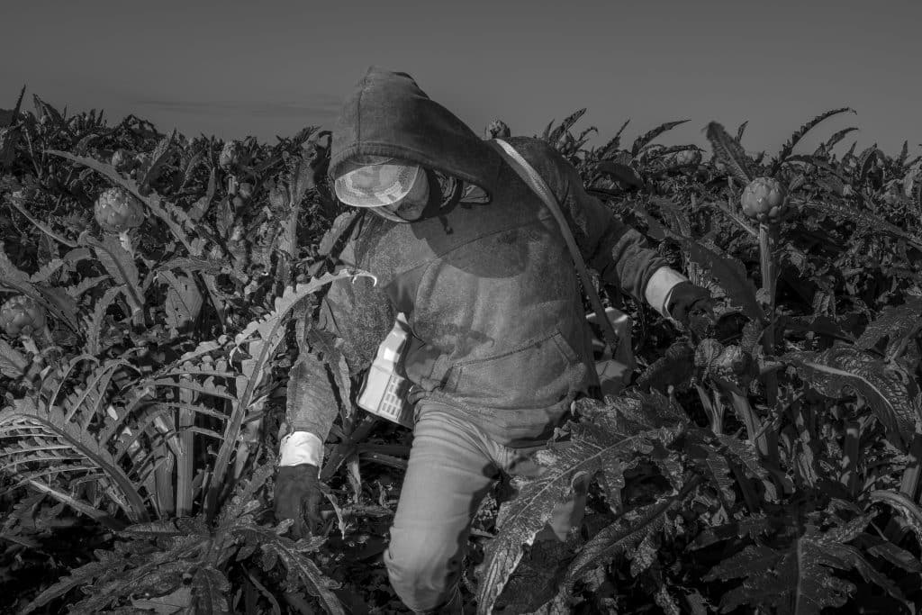 Le travail de Pierre Vanneste, [P2O5] – L’empreinte toxique du phosphate, exposé en Belgique